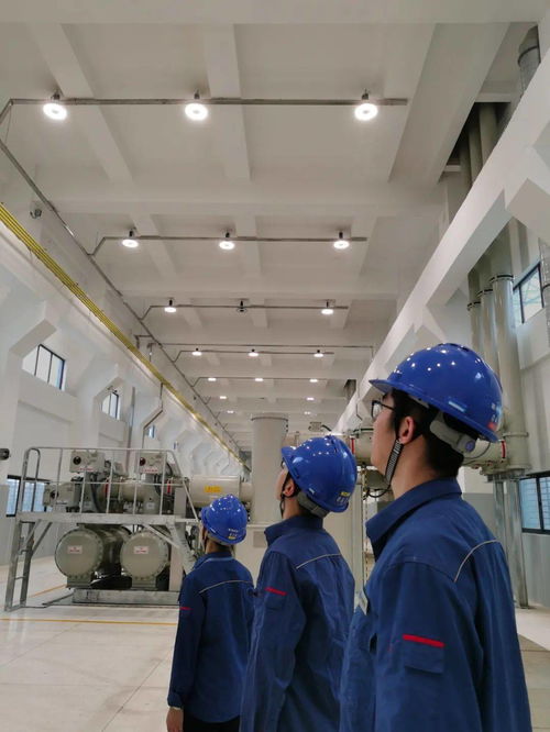 快來圍觀,三峽人的低碳style