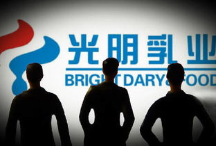 宋清輝 光明乳業企業管理與治理結構漏洞凸顯，亟待深化改革